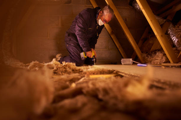 Best Insulation Maintenance and Repair in Bluefield, VA